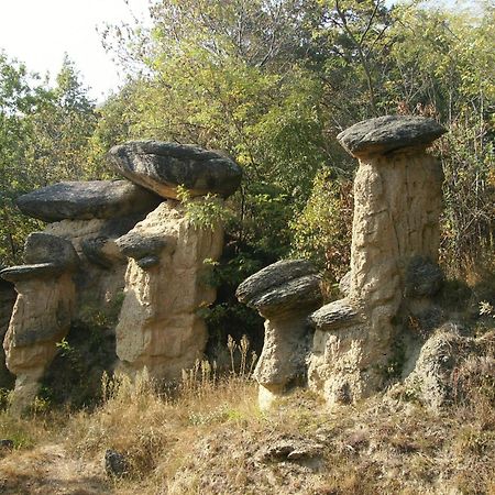 לינה וארוחת בוקר Villar San Costanzo Il Barucin מראה חיצוני תמונה